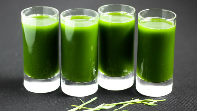 Best Wheatgrass Juicers: Guide, Reviews and Best Deals