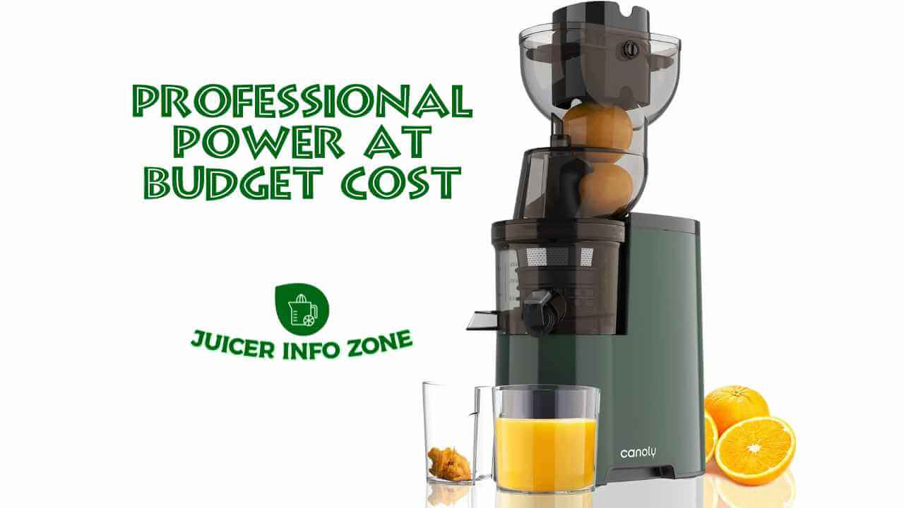 Canoly 250W Professional Slow Juicer
