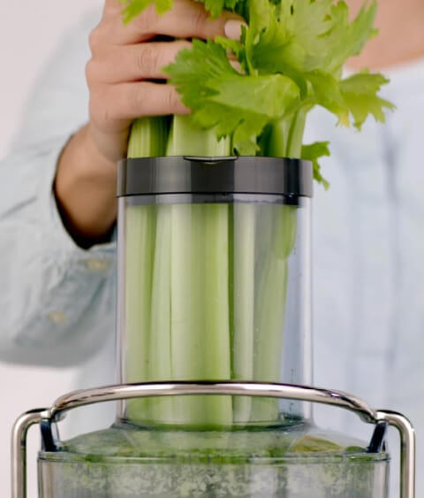 huge chute makes large juicing projects easy