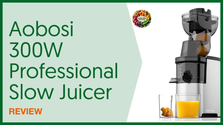 Aobosi 300W Professional Slow Juicer Review